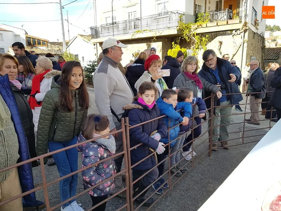 Foto 5 - Medio millar de personas disfruta de la matanza tradicional