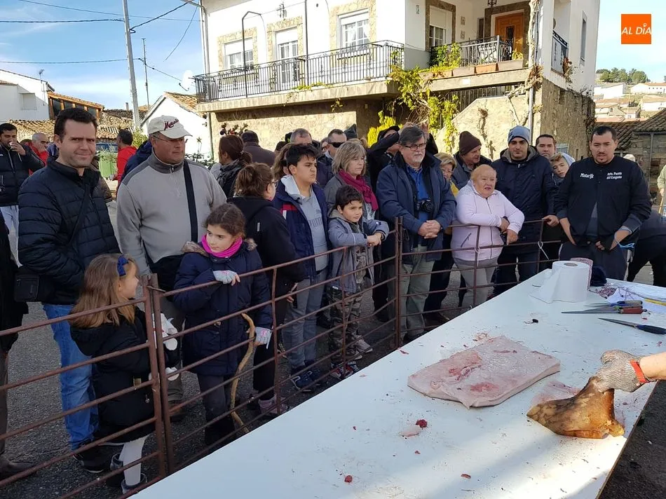 Foto 2 - Medio millar de personas disfruta de la matanza tradicional