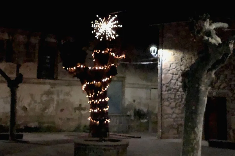 Foto 2 - La carrera &lsquo;Entre Casta&ntilde;os&rsquo; ilumina Puerto de B&eacute;jar en Navidad  