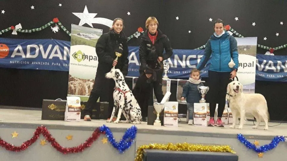 Imagen de la entrega de premios de la edición anterior.