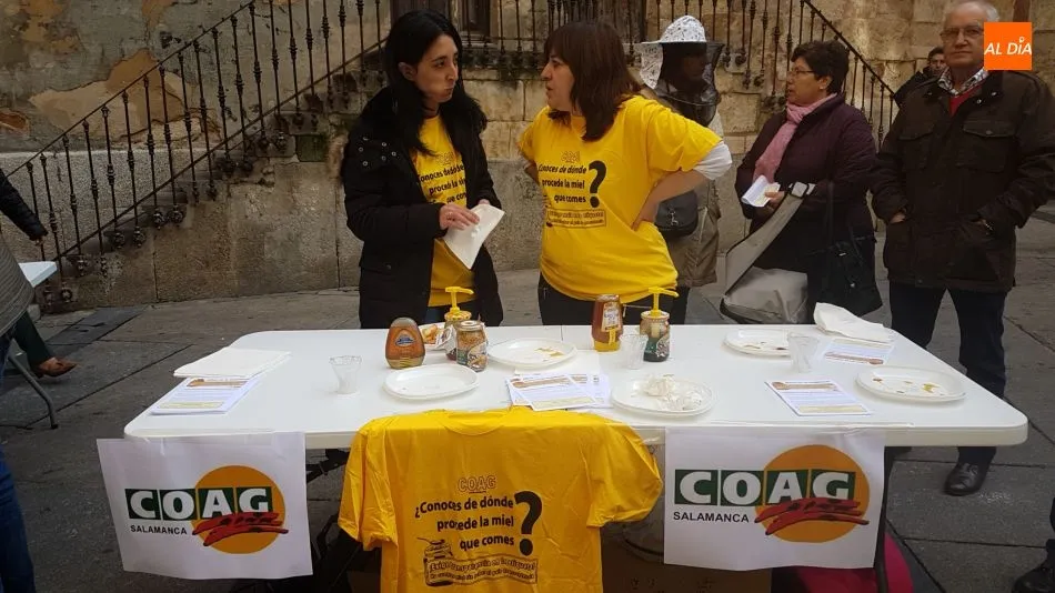 Foto 4 - Los apicultores salmantinos piden un etiquetado claro de la miel &ldquo;frente al negocio de unos pocos ...