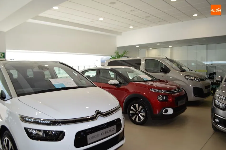 Foto 10 - La Ciudad del autom&oacute;vil de Grupo Nani arranca con &eacute;xito  