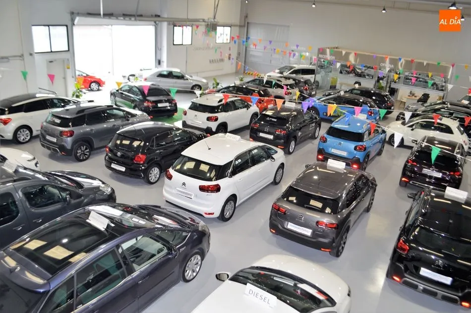 Foto 8 - La Ciudad del autom&oacute;vil de Grupo Nani arranca con &eacute;xito  