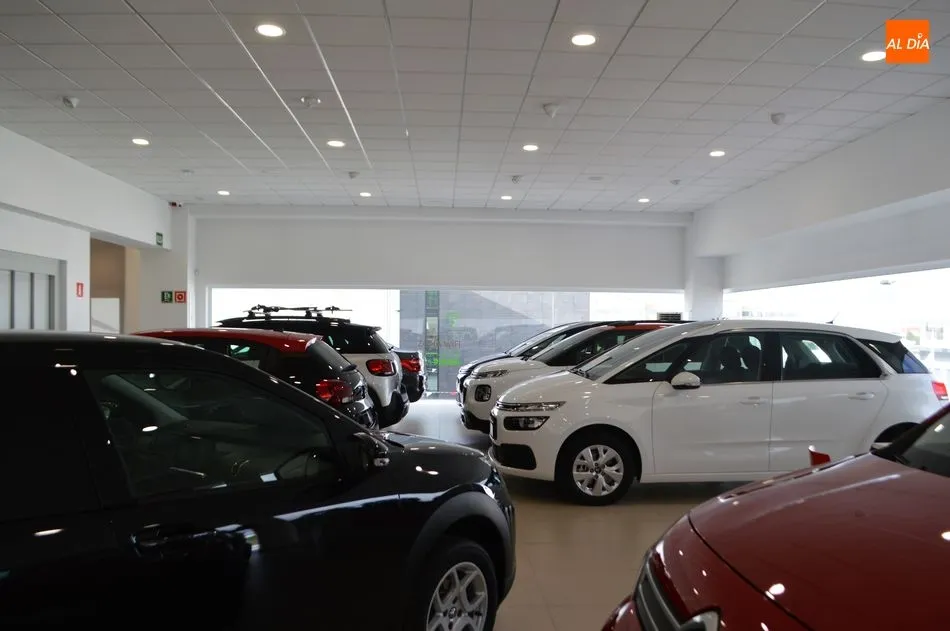 Foto 5 - La Ciudad del autom&oacute;vil de Grupo Nani arranca con &eacute;xito  