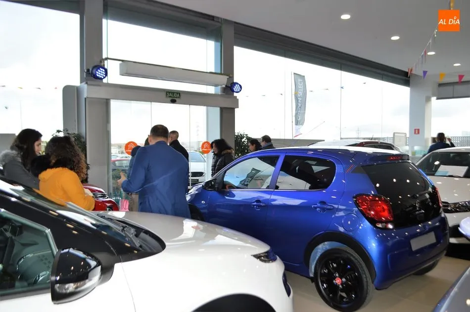 Foto 4 - La Ciudad del autom&oacute;vil de Grupo Nani arranca con &eacute;xito  