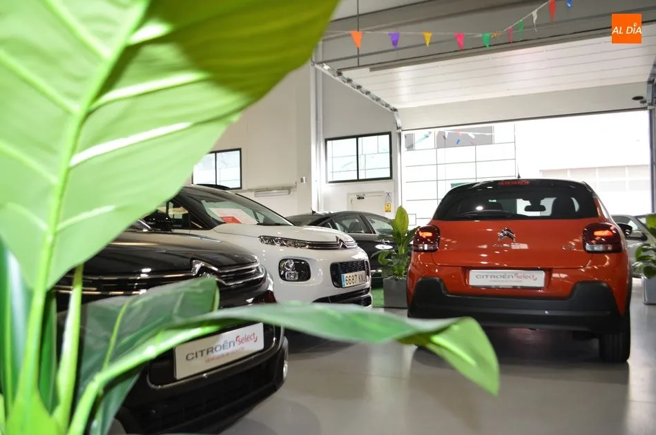 Foto 3 - La Ciudad del autom&oacute;vil de Grupo Nani arranca con &eacute;xito  