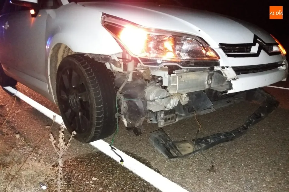 Foto 4 - Una manada de jabal&iacute;es causa destrozos a un coche en la carretera de la presa de Almendra  