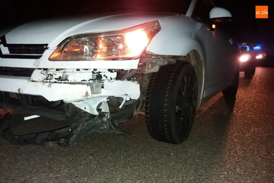 Foto 2 - Una manada de jabal&iacute;es causa destrozos a un coche en la carretera de la presa de Almendra  