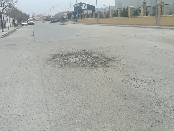 Foto 4 - El PP denuncia la &ldquo;dejadez&rdquo; y &ldquo;falta de limpieza&rdquo; en el Pol&iacute;gono industrial El Inestal