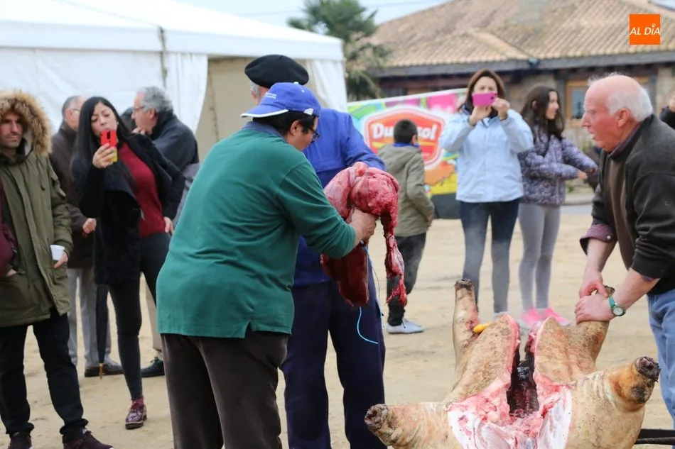 Foto 11 - Barruecopardo vive su II Matanza Tradicional con cinco matanceros de honor  