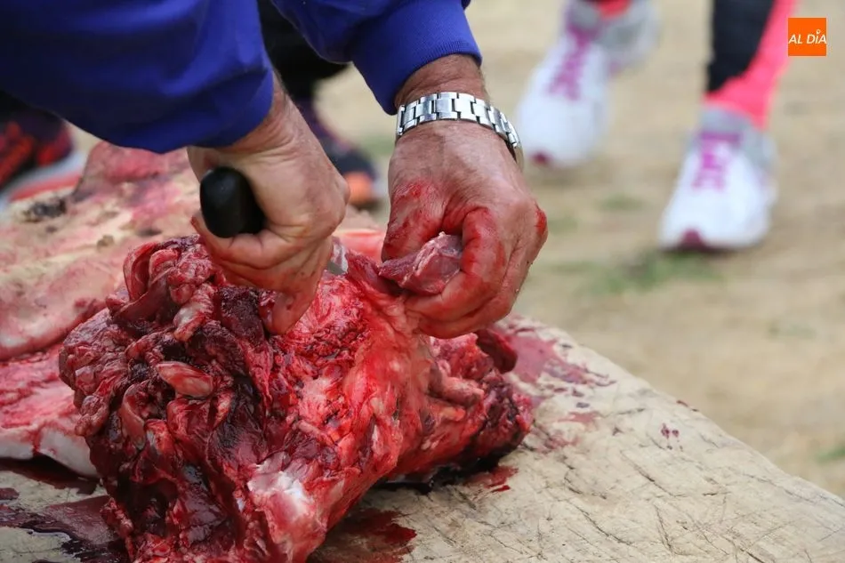 Foto 5 - Barruecopardo vive su II Matanza Tradicional con cinco matanceros de honor  