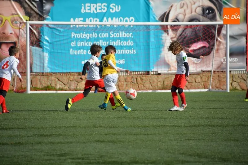 Foto 3 - Resultados, clasificaciones e im&aacute;genes del f&uacute;tbol base provincial