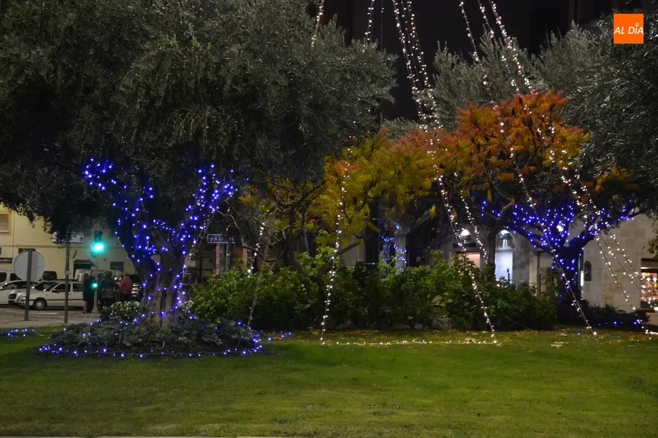 Foto 7 - La rotonda del Cruce estrena &Aacute;rbol de Navidad  