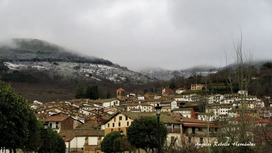 La protección de lo blanco