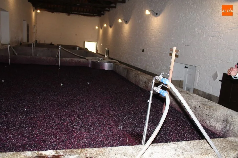 Foto 7 - En casa de Do&ntilde;a Antonia, la viuda del Duero  