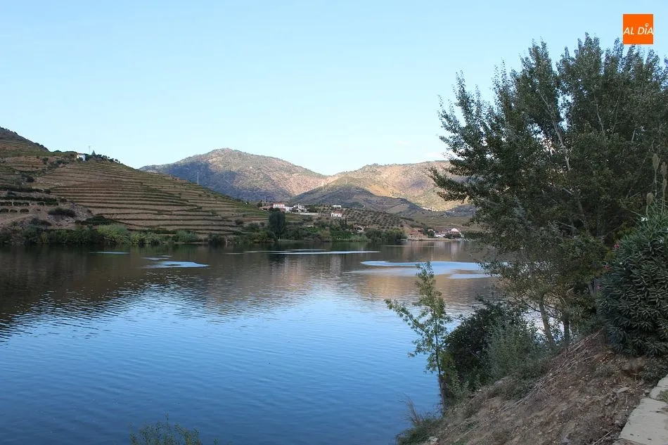 Foto 5 - En casa de Do&ntilde;a Antonia, la viuda del Duero  