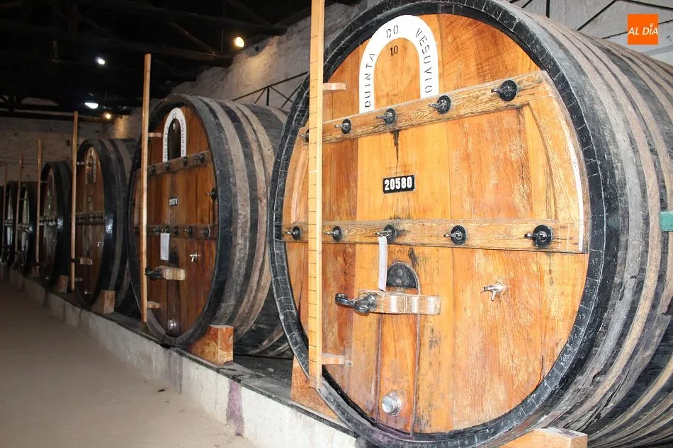 Foto 6 - En casa de Do&ntilde;a Antonia, la viuda del Duero  