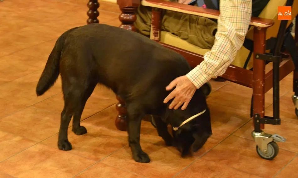 Foto 3 - La Residencia Obispo T&eacute;llez prueba una nueva terapia con animales  