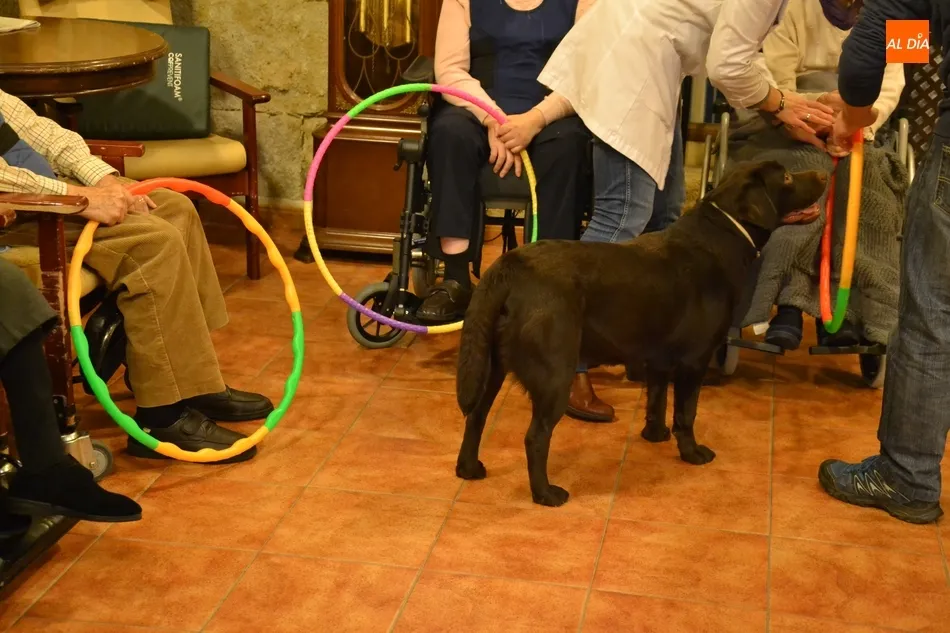 Foto 2 - La Residencia Obispo T&eacute;llez prueba una nueva terapia con animales  
