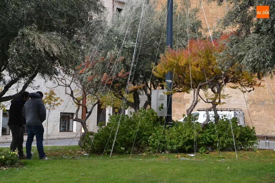 Destrozan la iluminación navideña de la rotonda del Cruce  