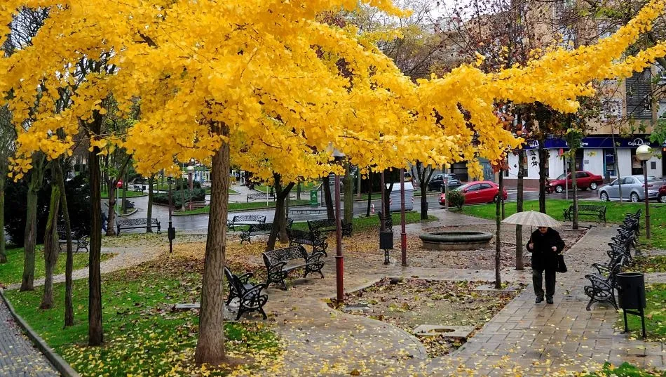 Camino hacia el invierno