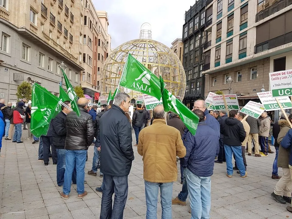 Foto 4 - Un centenar de ganaderos de ovino pide un precio digno por su trabajo