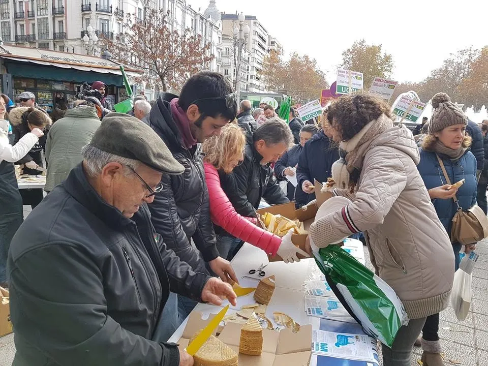 Foto 2 - Un centenar de ganaderos de ovino pide un precio digno por su trabajo