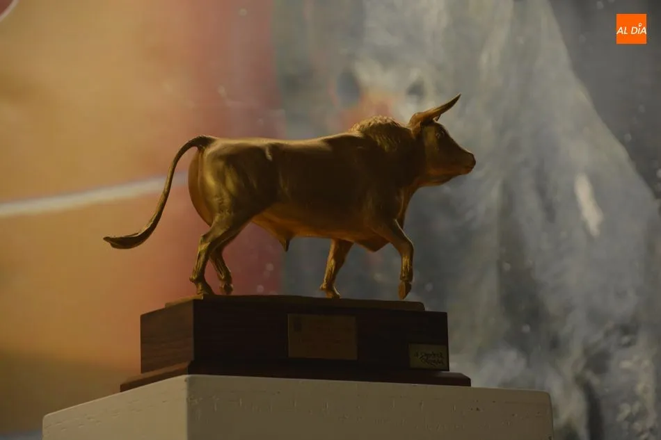 Foto 9 - &lsquo;Liricoso&rsquo;, de la ganader&iacute;a Montalvo, recibe el premio Toro de Oro de la Junta de Castilla y...
