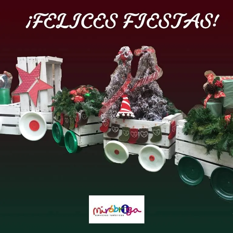 Foto 7 - Un par de v&iacute;deos y un mensaje en leon&eacute;s en el cl&aacute;sico carrusel de felicitaciones navide&ntilde;as  