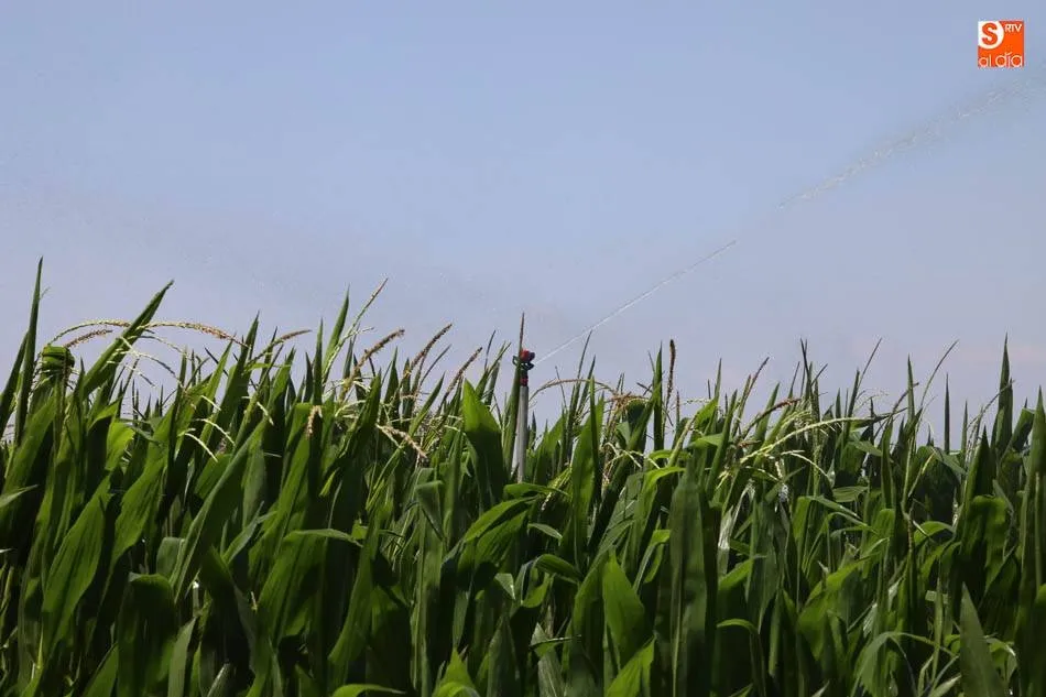 El proyecto ha desarrollado un sistema de captura de datos en tiempo real