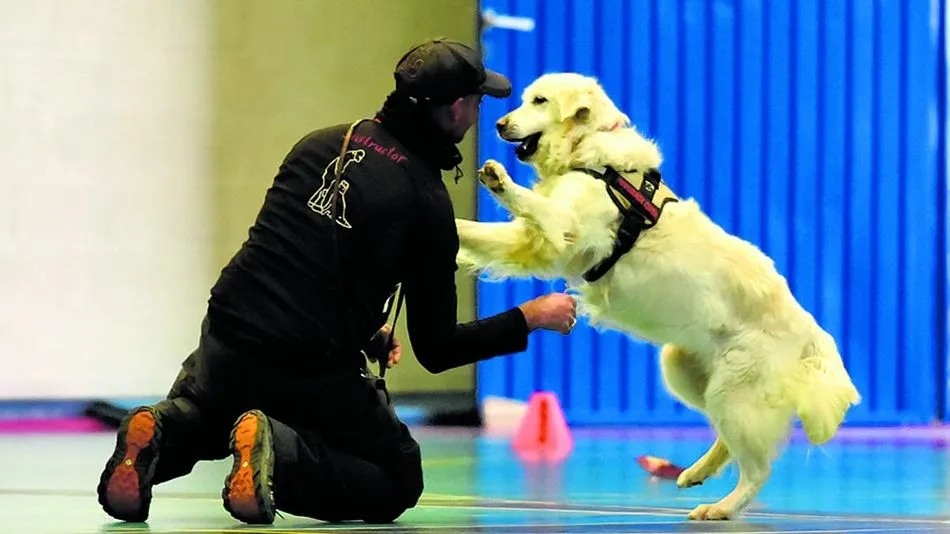 Chema Martínez y Lua durante el campeonato celebrado en León