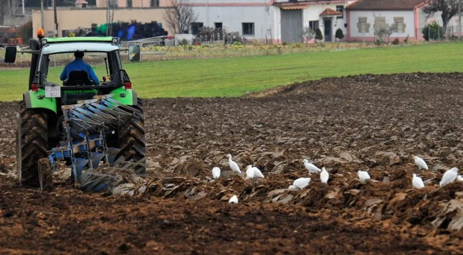 Labores agrícolas junto a la carretera de Aldealengua. Foto de Carlos Santiago