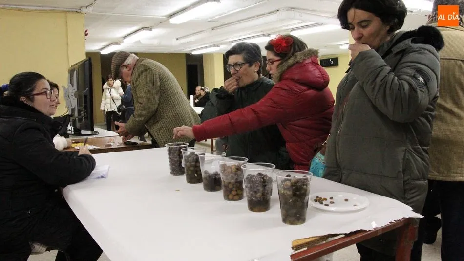 El público ejerció de jurado en el concurso de aliñado de aceitunas / MARIBEL SÁNCHEZ