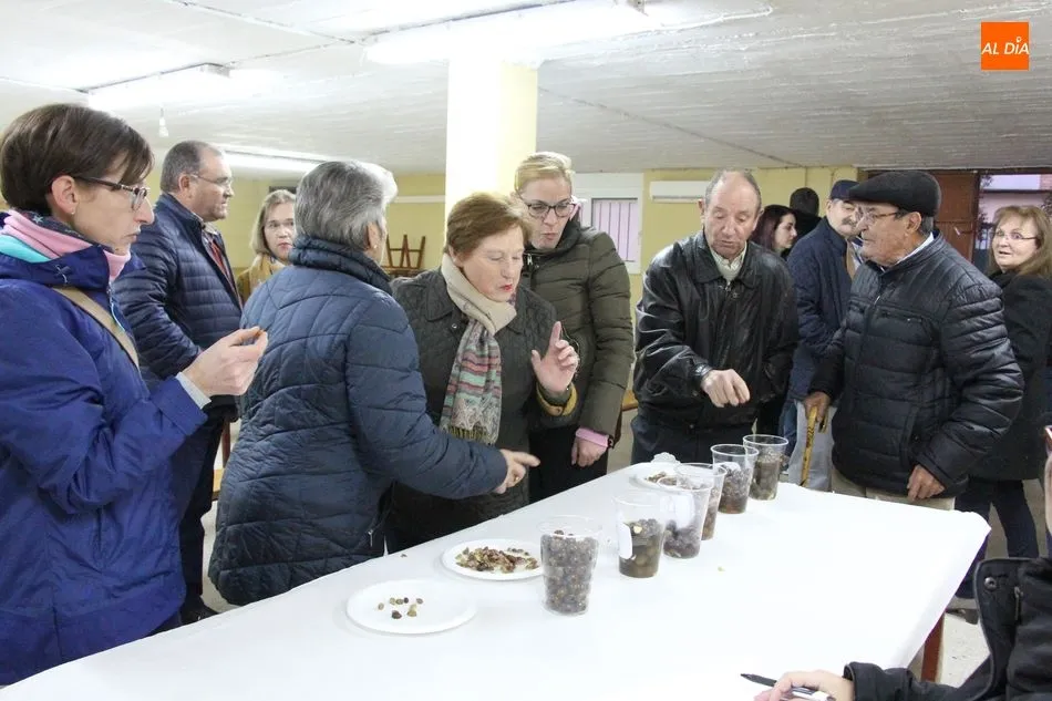 Foto 9 - Aldead&aacute;vila vive una nueva fiesta dedicada a la aceituna y el olivo  