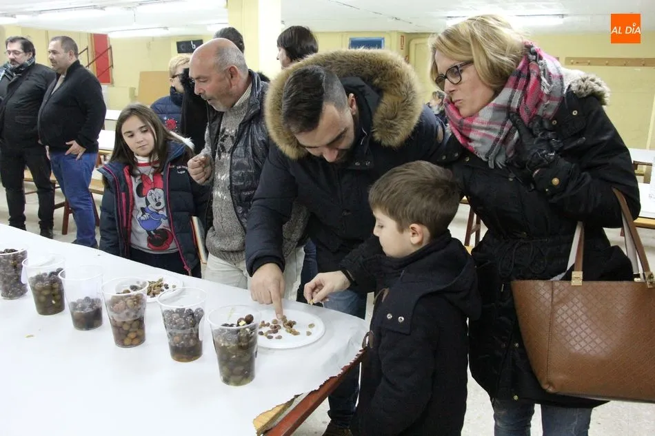 Foto 7 - Aldead&aacute;vila vive una nueva fiesta dedicada a la aceituna y el olivo  
