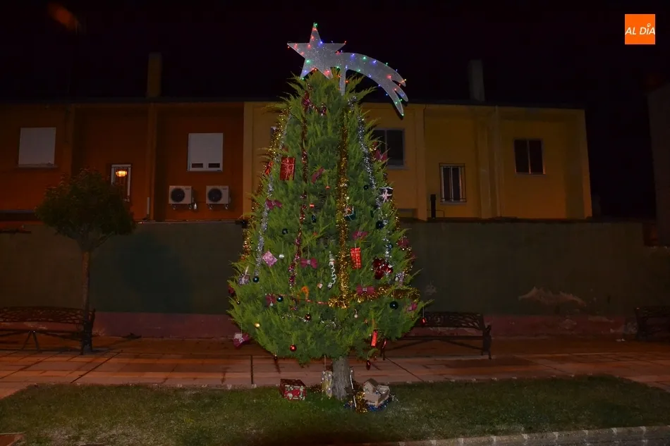 Foto 9 - Vecinos de la calle Guardia Civil le dan un toque navide&ntilde;o a la v&iacute;a  
