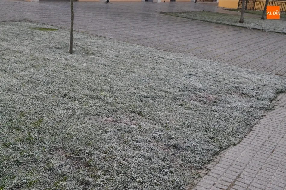 Foto 4 - El 2018 toca a su fin con una jornada de bajas temperaturas  