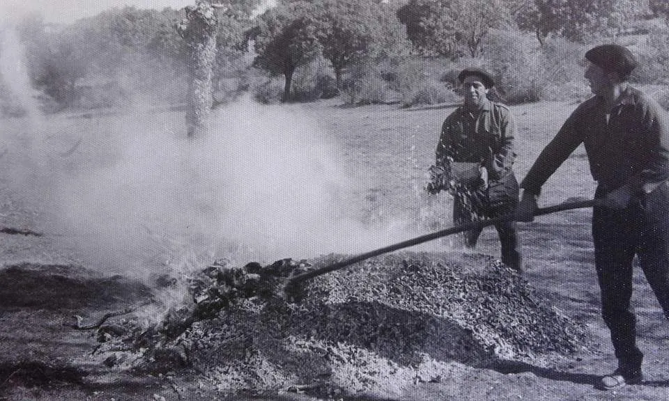 Foto 2 - El cisco de encina, la calefacci&oacute;n de otros tiempos
