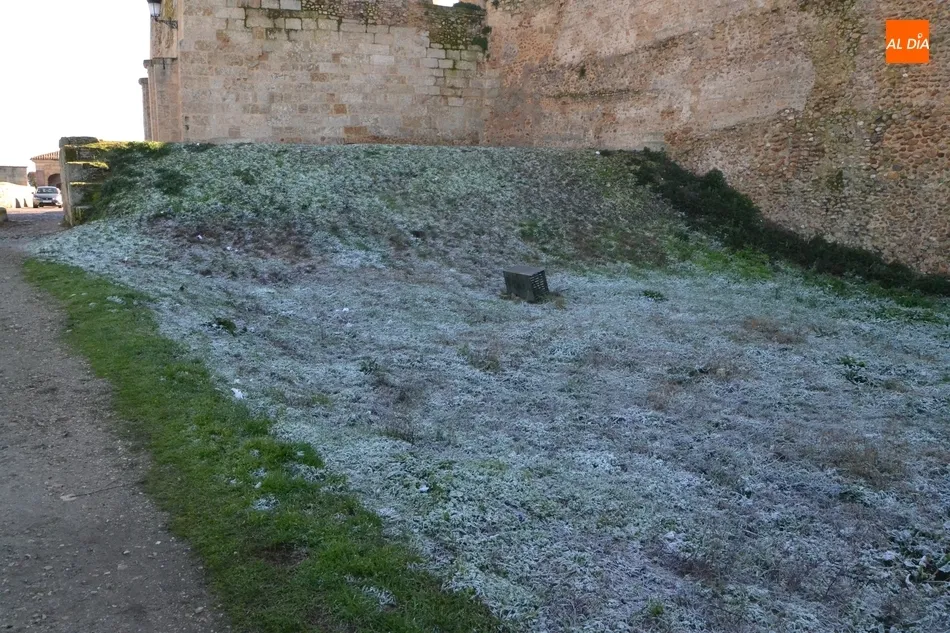 Foto 3 - Mir&oacute;briga da la bienvenida a 2019 cubierta por un manto blanco  
