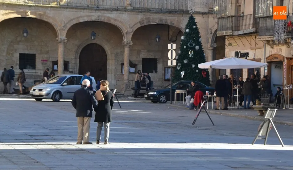 Foto 8 - Mir&oacute;briga da la bienvenida a 2019 cubierta por un manto blanco  