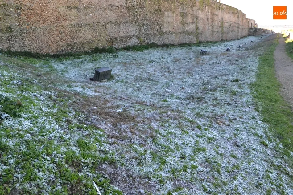 Foto 5 - Mir&oacute;briga da la bienvenida a 2019 cubierta por un manto blanco  