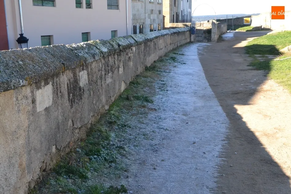 1Foto: Una helada con escuadra y cartabón  