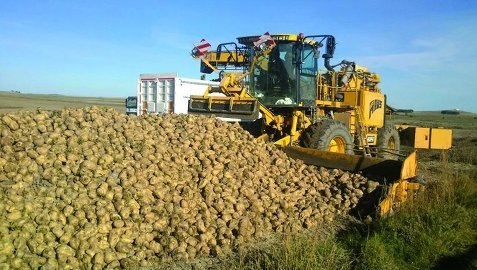 La sentencia obliga a la Junta al pago de tres euros por tonelada a 96 productores