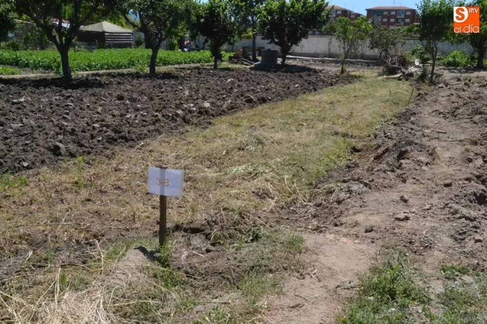 Uno de los huertos familiares de la Cañada Real