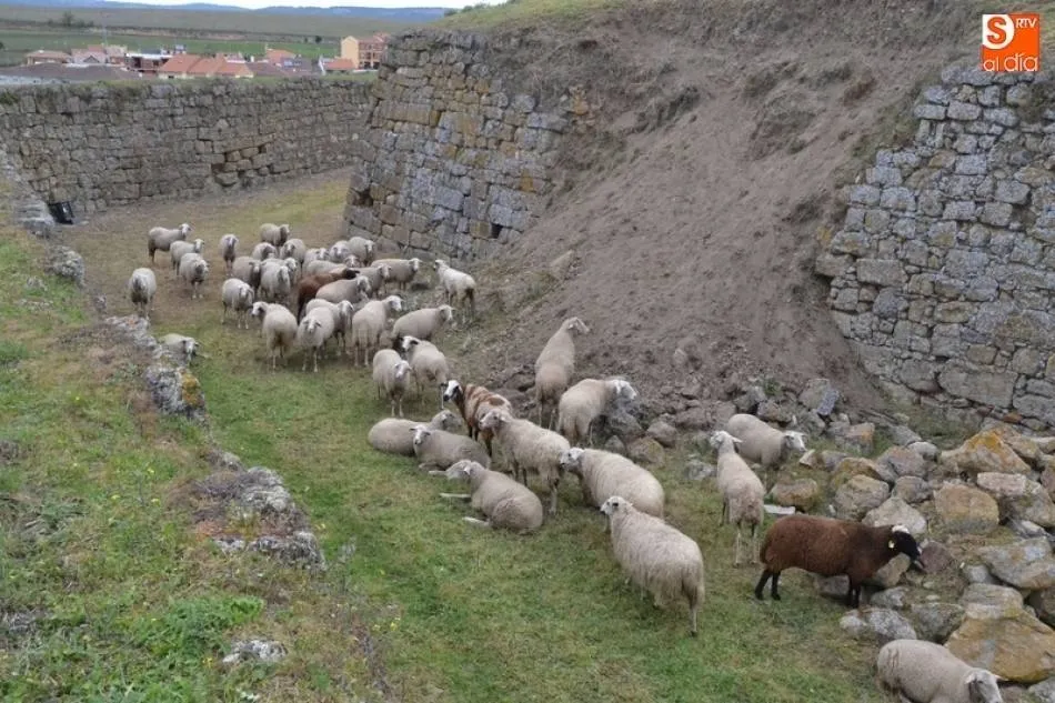 IU aboga por mantener el pacto de gobierno pese a las tensiones al verlo como positivo  
