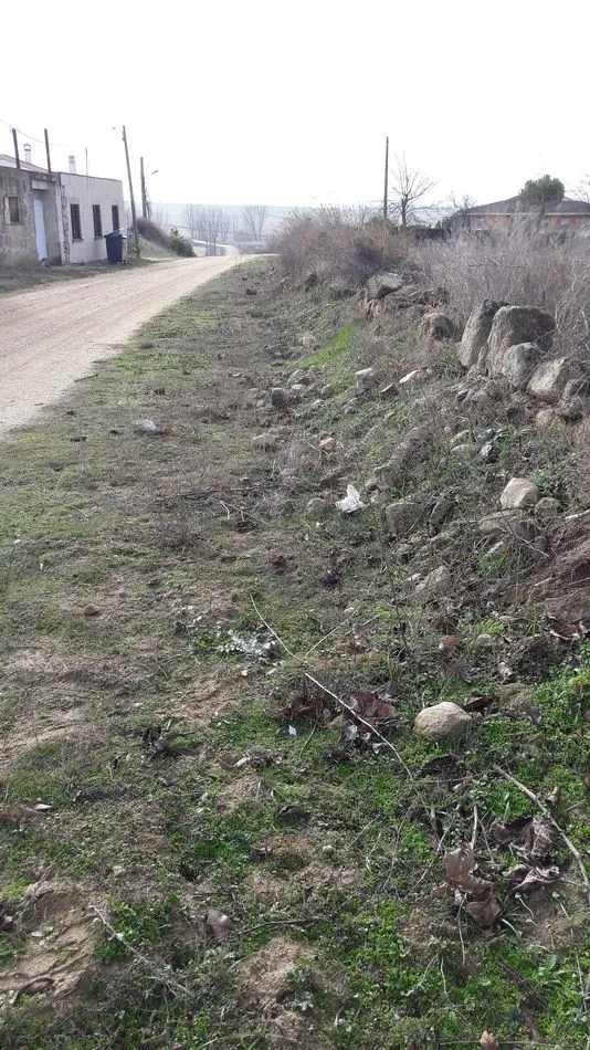 Foto 5 - Los vecinos de Mozodiel de Sanch&iacute;&ntilde;igo denuncian el &ldquo;total abandono&rdquo; por parte de las...