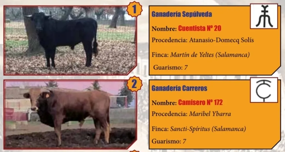 El Bolsín da a conocer los machos que protagonizarán la Final de su 63º Temporada  