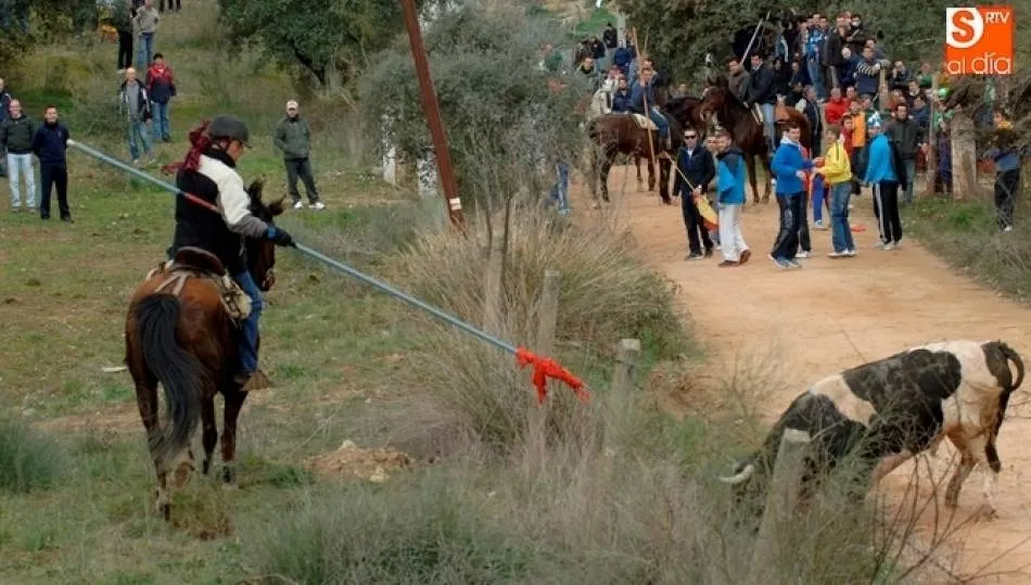 Imagen de uno de los encierros a caballo de los últimos años que dio bastantes problemas | Foto Adrián Martín