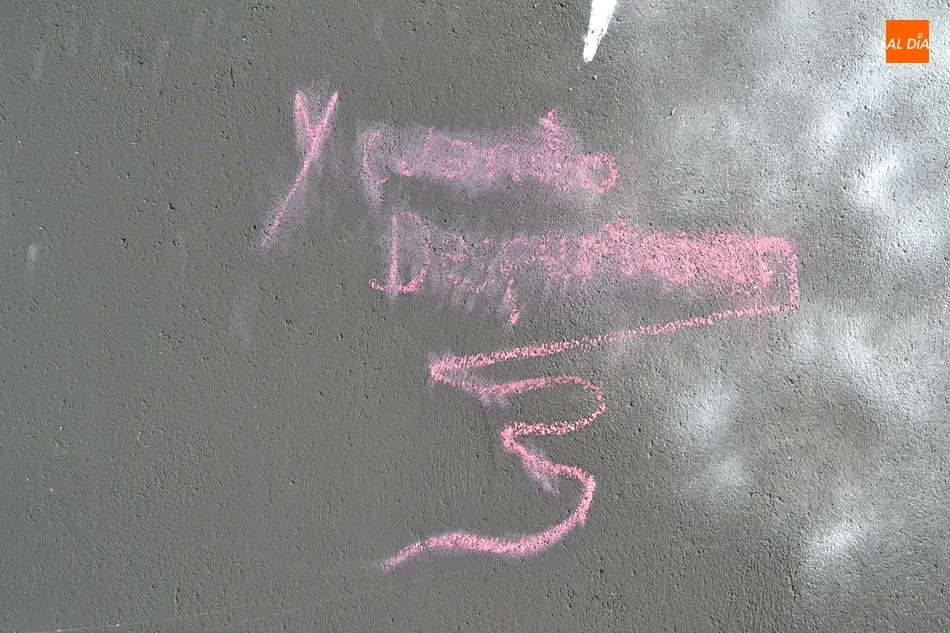 Foto 2 - La &lsquo;curiosidad&rsquo; estropea el aclamado grafiti felino  