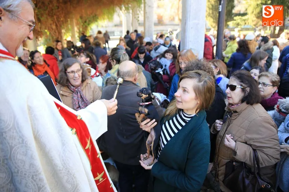 Tras la misa, el padre Montero procederá a la bendición de los animales de compañía